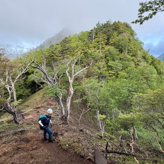 庚申山から鋸山までは尾根道を進む。