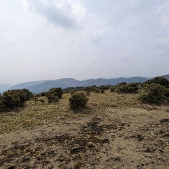 特に何もないなぁ〜