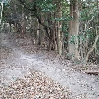 ぎりぎり日没迄に下山できるかというところですね。なだらかな稜線歩きなので、ペースも上げ易いです。