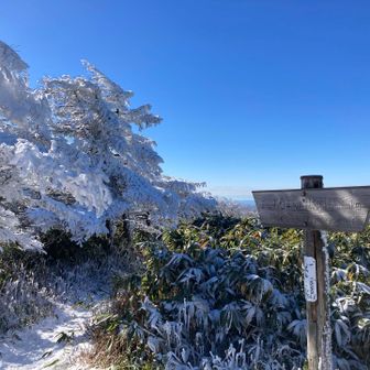 南沢山まで戻ってきた
何度も足が攣る〜💦
ツボ足なのに冬靴だけの重みでこれとは😢
この標高差の倍もある一月の山行断ろうかな😭