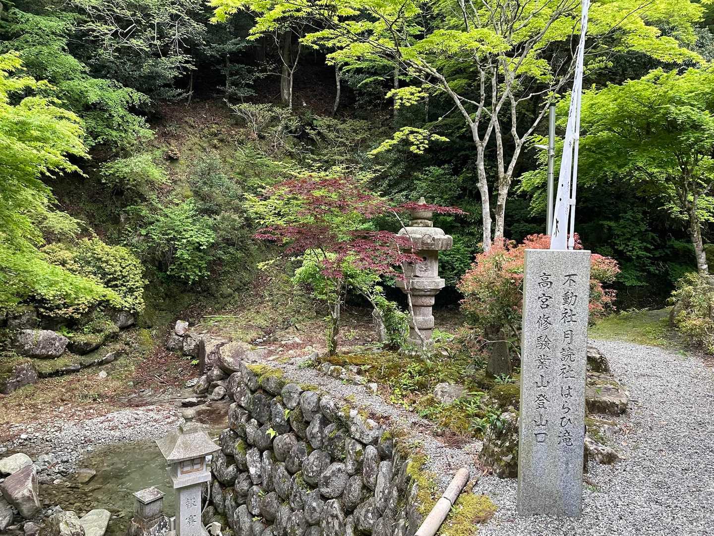 修験業山-栗ノ木岳-若宮峠 周回コースの写真