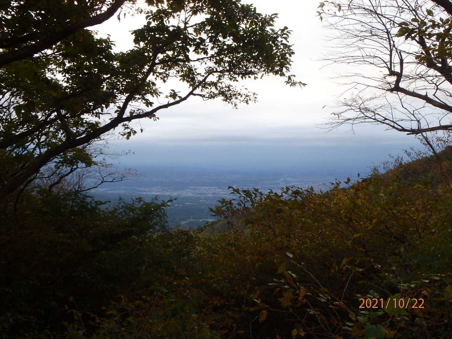 小野子山 往復コースの写真