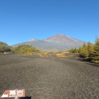登山開始時の気温は10℃。
吐く息が白い🥶