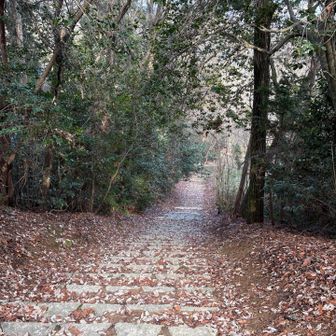 来た道を戻ります
今日はホントに階段祭り😱