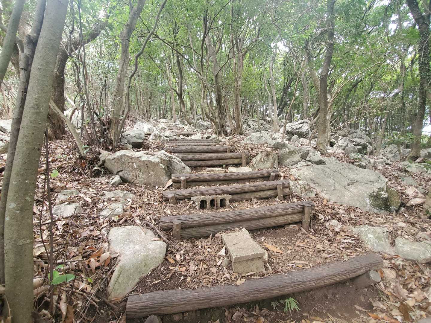 程よい距離に程よい難易度
そして山頂からの眺望
達成感を味わうには
全てを満たす必要があります
お山選びは難しい😅