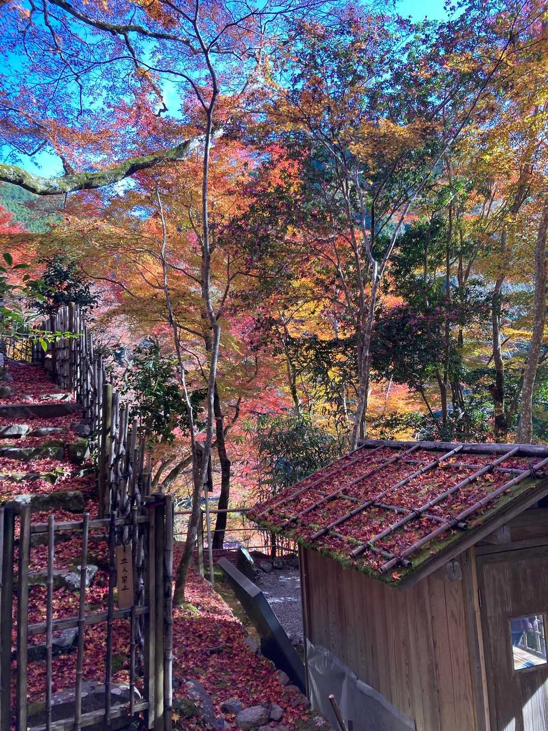 目的の高山寺へ到着🐰🐸🐵