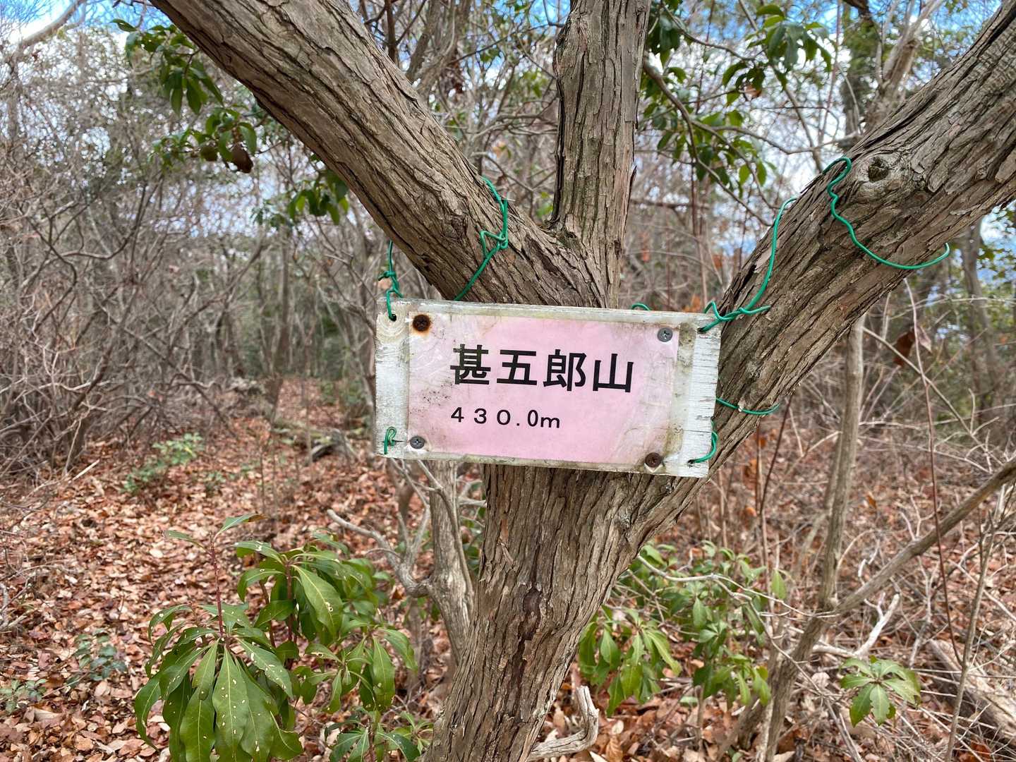 お地蔵様からすぐの甚五郎山⛰到着✨