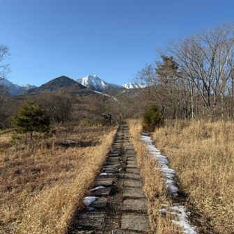 美し森山から振り返って