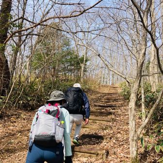 久しぶりのトリオ
2年6ヶ月ぶりらしい