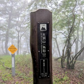 大洞山⛰️登頂🚩