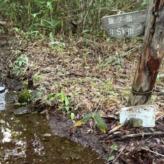 分岐以降は木道なし。ウワサのドロドロ道となる。合目表記あり、ここは1合目