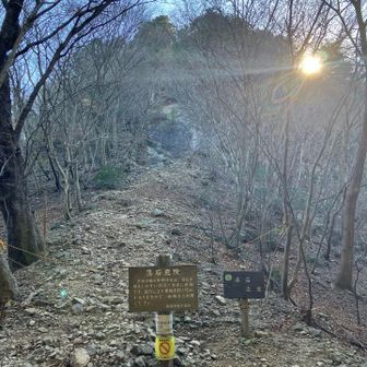 これ、登れるの？？？