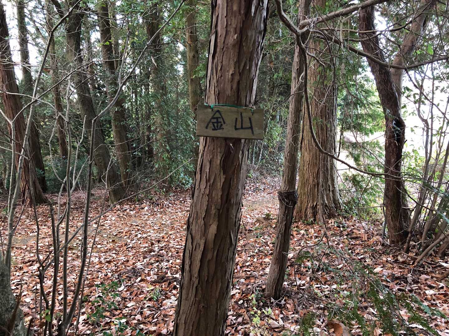 何年か前に山人さんが付けられた…かまぼこ板で作った山標です✨

