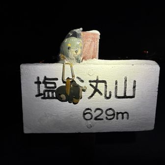 なんとかトウチョ🐶
まだそこまでの風ではなかった🍃