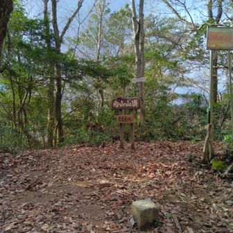 ６６６ｍの山頂　＼(^▽^)／