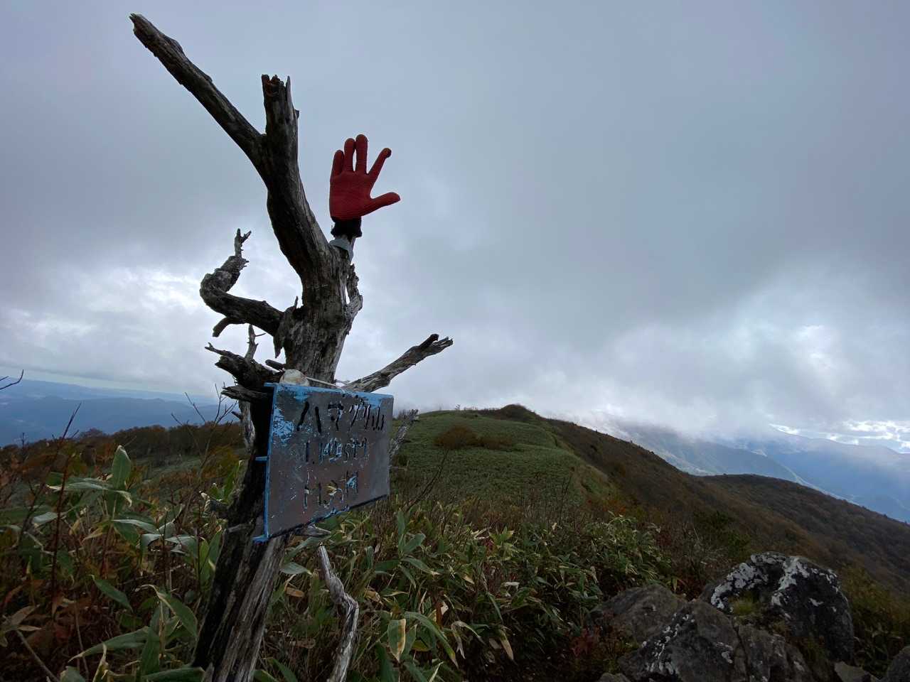 大関山-ハマグリ山-トンガリ山 往復コースの写真