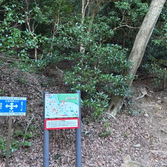 ここから急登