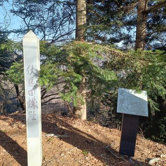 今日はピークも少ないし、アップダウンもあるし、メンタ的にもキツイがやっとピーク！
ずっと落ち葉地獄でした。
クマの糞５箇所以上で確認🐻