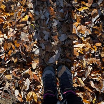 落ち葉がザクザク🍂