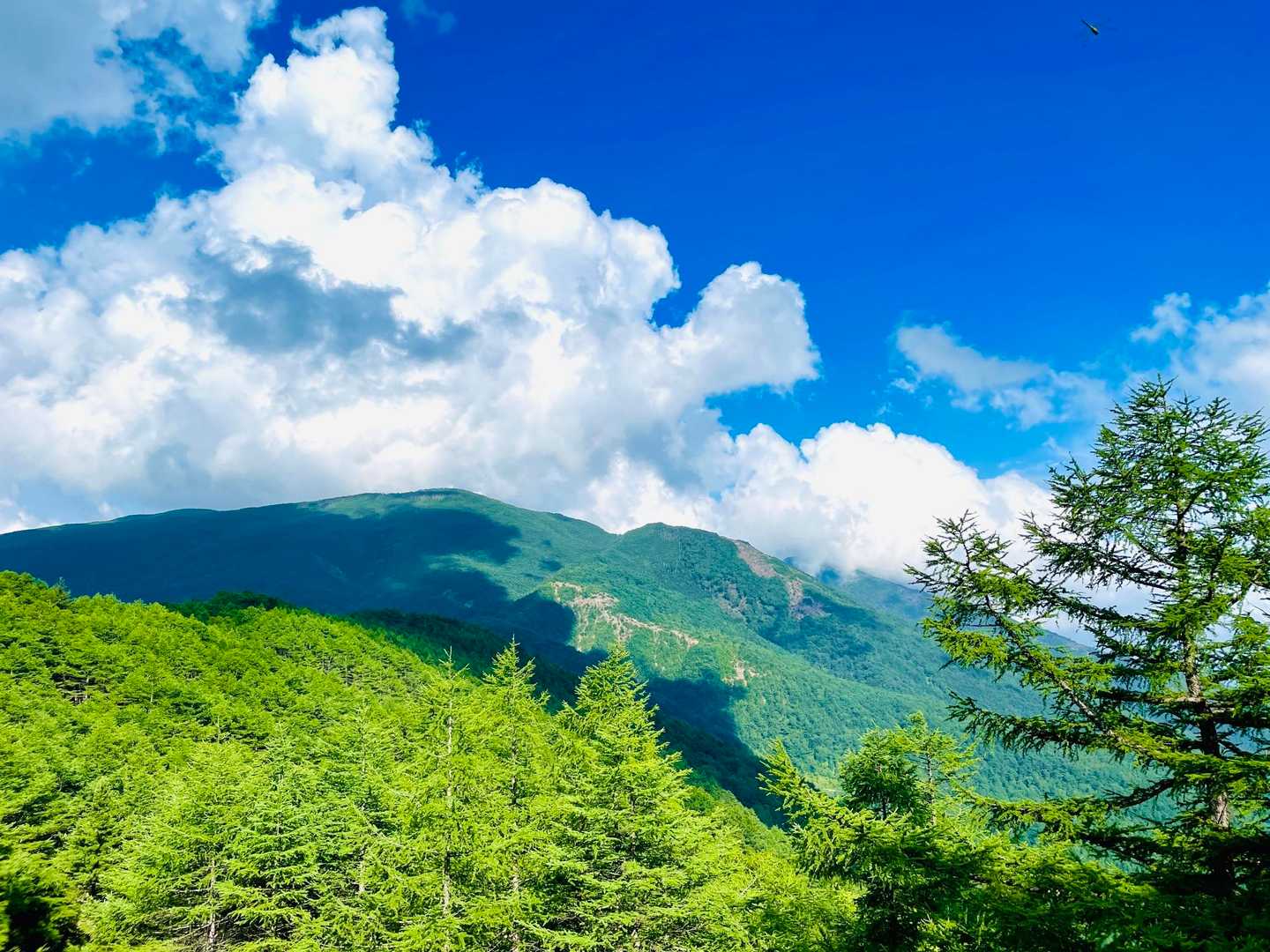 車坂峠-高峰山 周回コースの写真