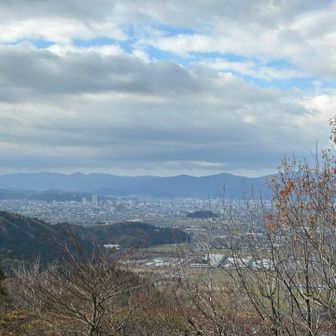 妹がコーヒー持って来てくれてていただきました。