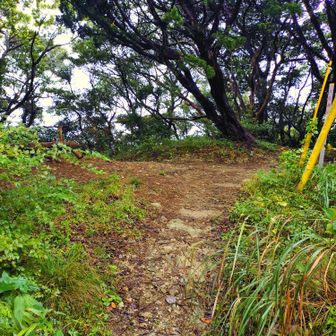 やっと登山道に飛び出した