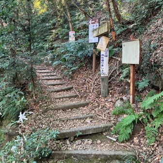 そして、登山スタート⛰️