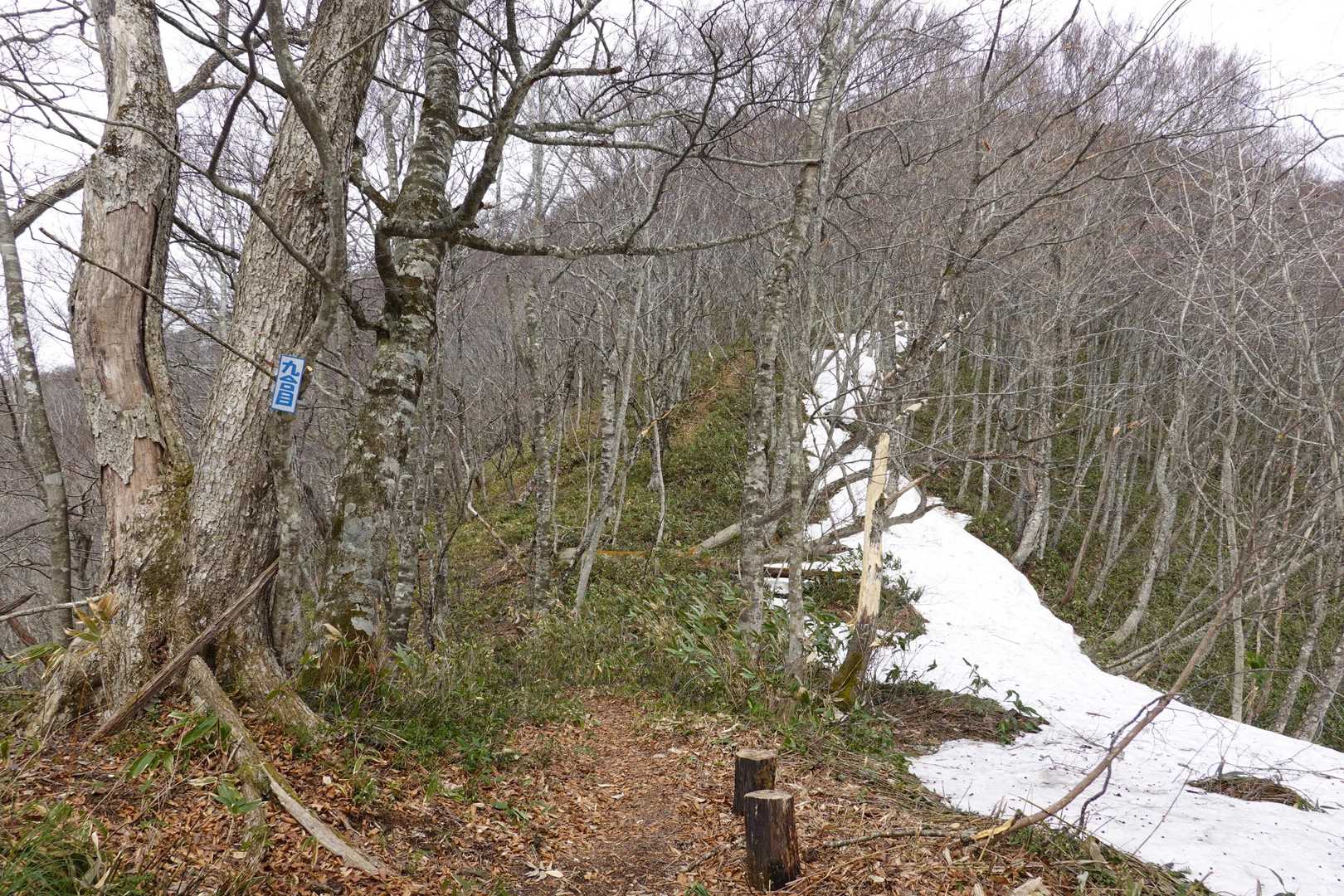 山頂と見せかけて8合目トラップがきつかった😵