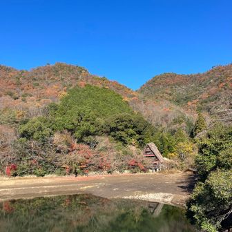 松尾池スタート。
紅葉はほぼほぼ終わってる。