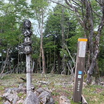あとはくだるだけー