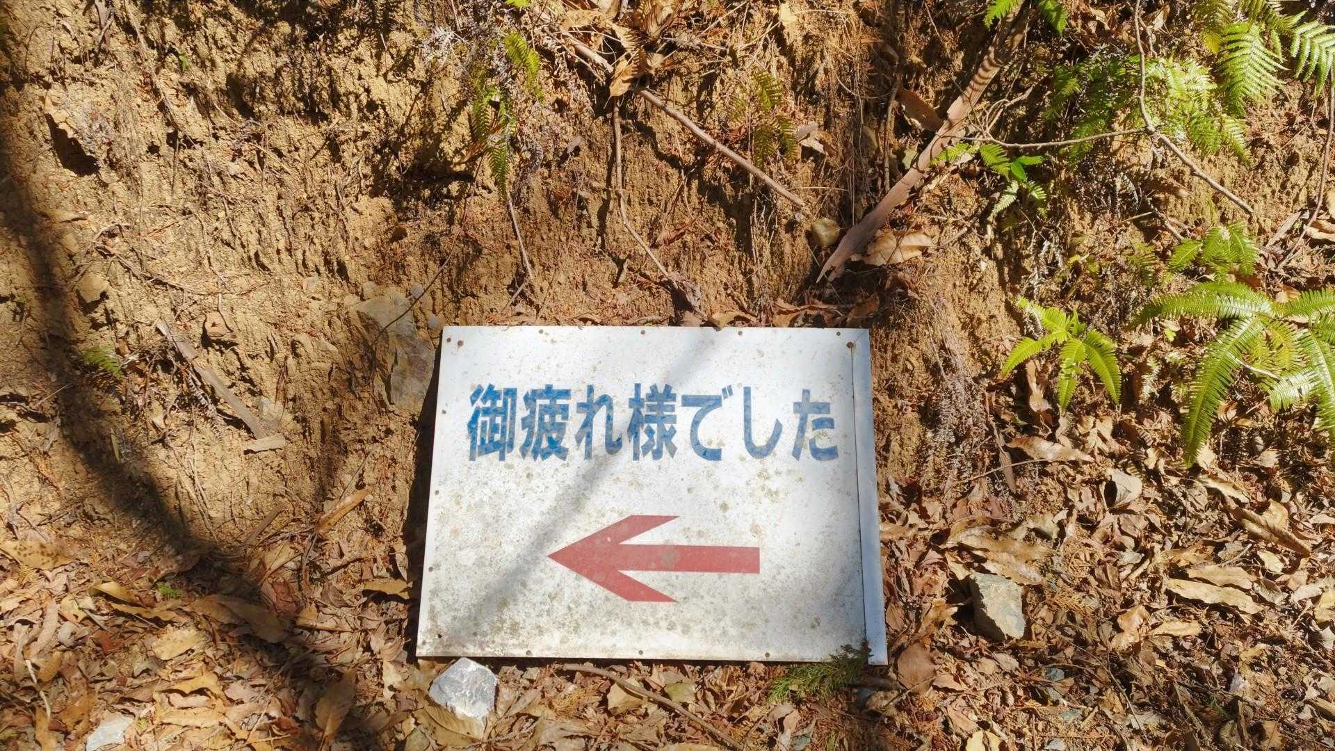 ミツマタを観賞したら下山
もうひとつ行きたい場所があるのでそちらへ向かいます