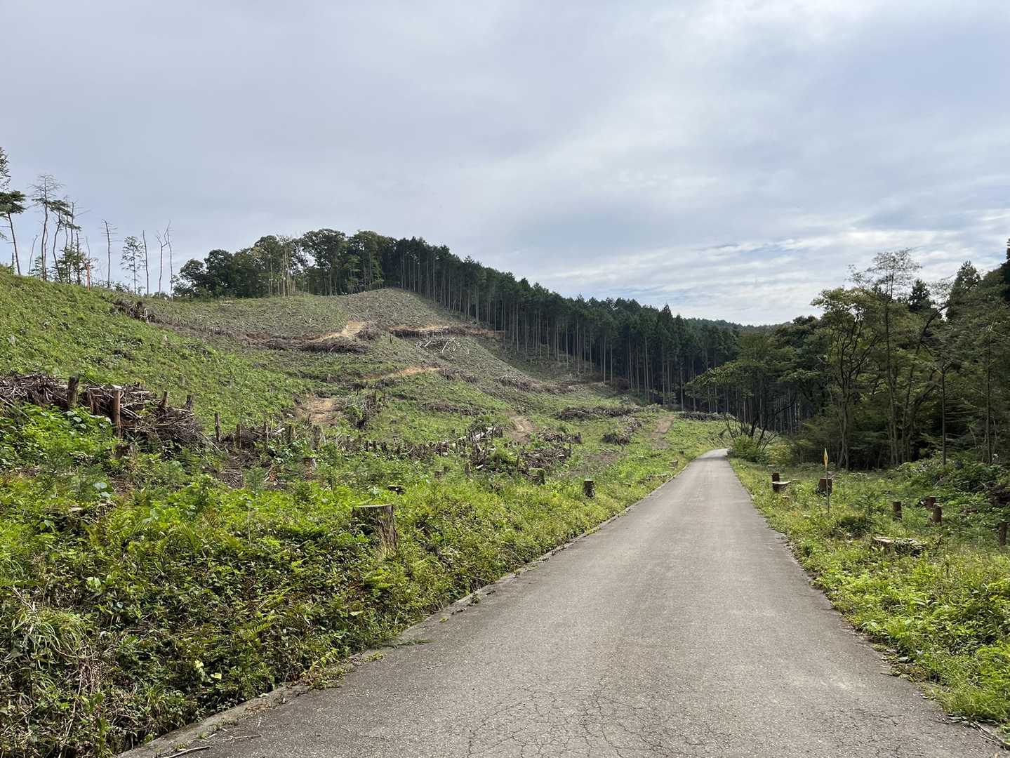 この道を進みます
アス道だけど右手に川が流れているので
鳥の声、虫の声、川のせせらぎ🎵
心地よいです^o^
