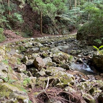 こんな道をテクテク…🐾

沢沿いだけど無風でムシムシ…💦