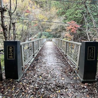 やっと半分きた感じ