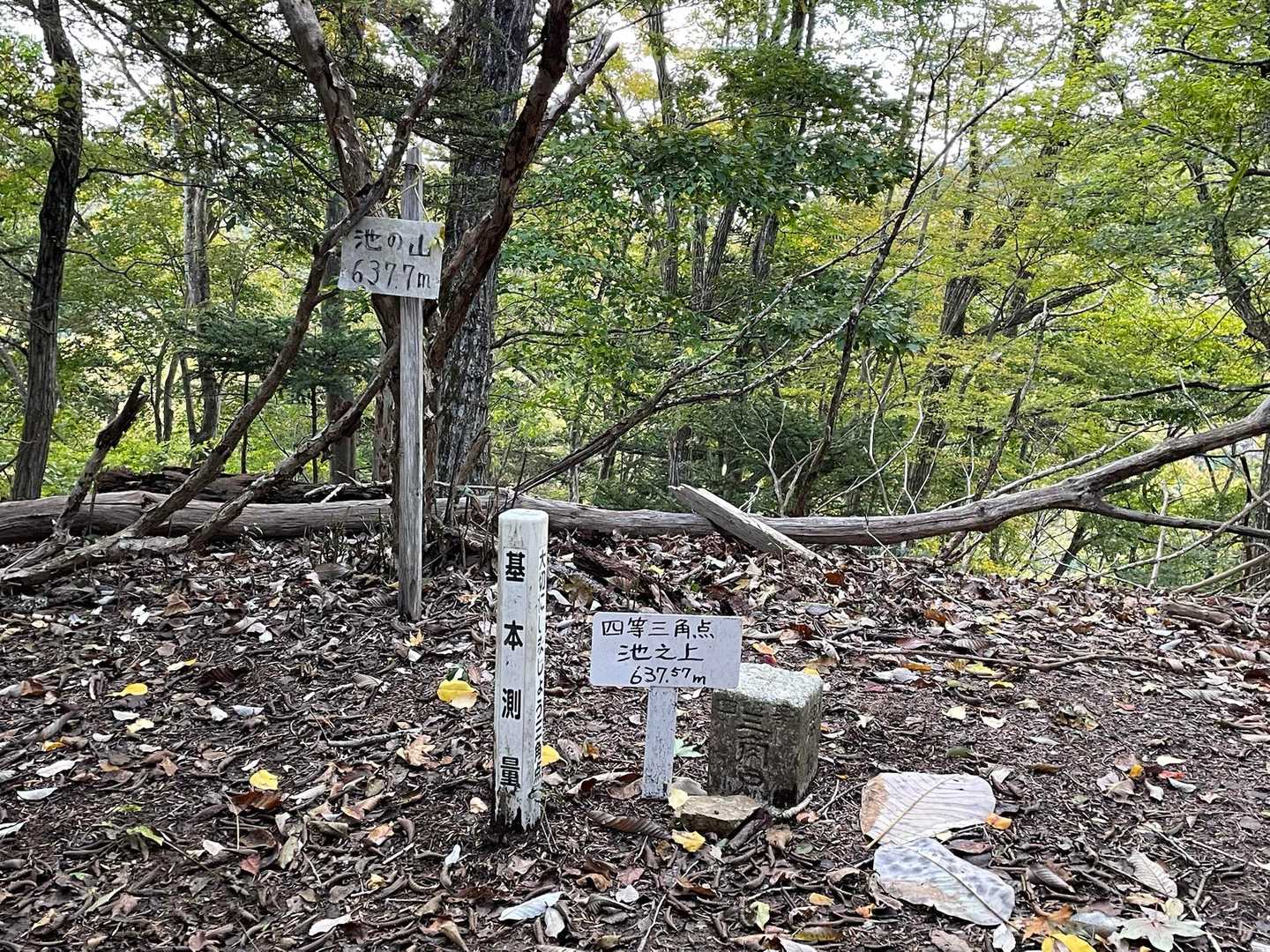 池ノ山到着