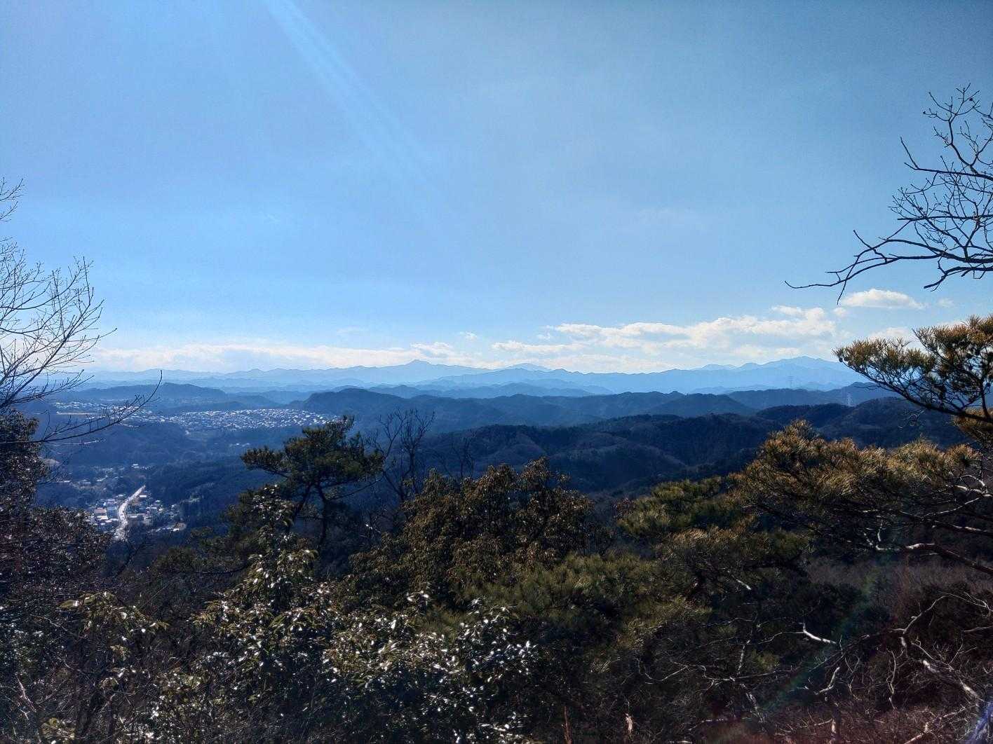 巾着田が見えます