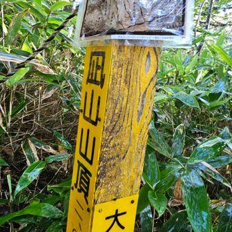 濡れた大凪山きつかった