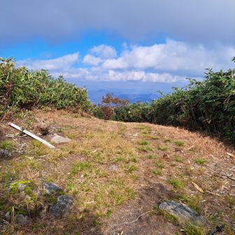 コロンブスピークまで下山して来た😃