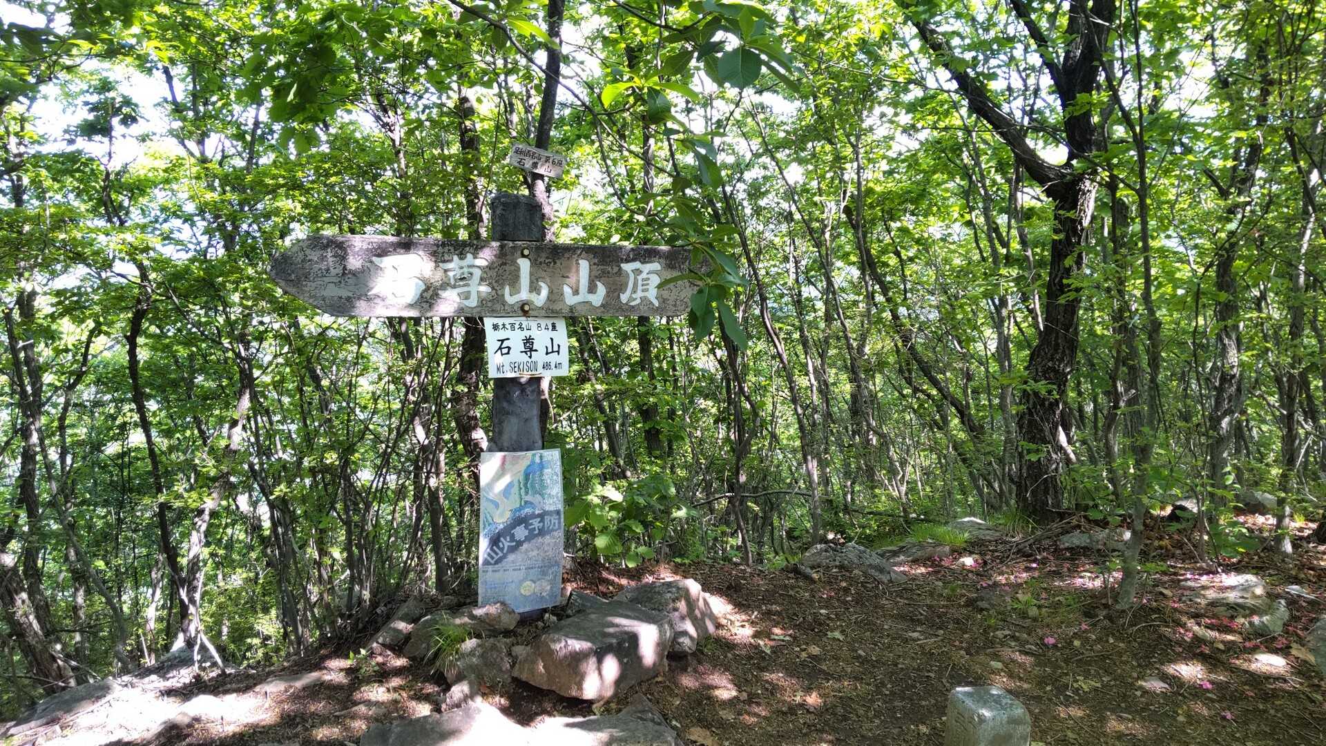 石尊山の写真