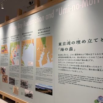 右手に行くとビジターセンター