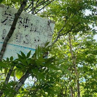 ピークは獲っておかないと
ちょっと鬱蒼とした場所
