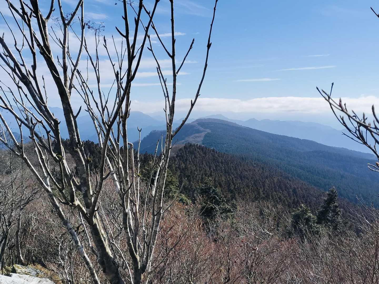 橡尾山