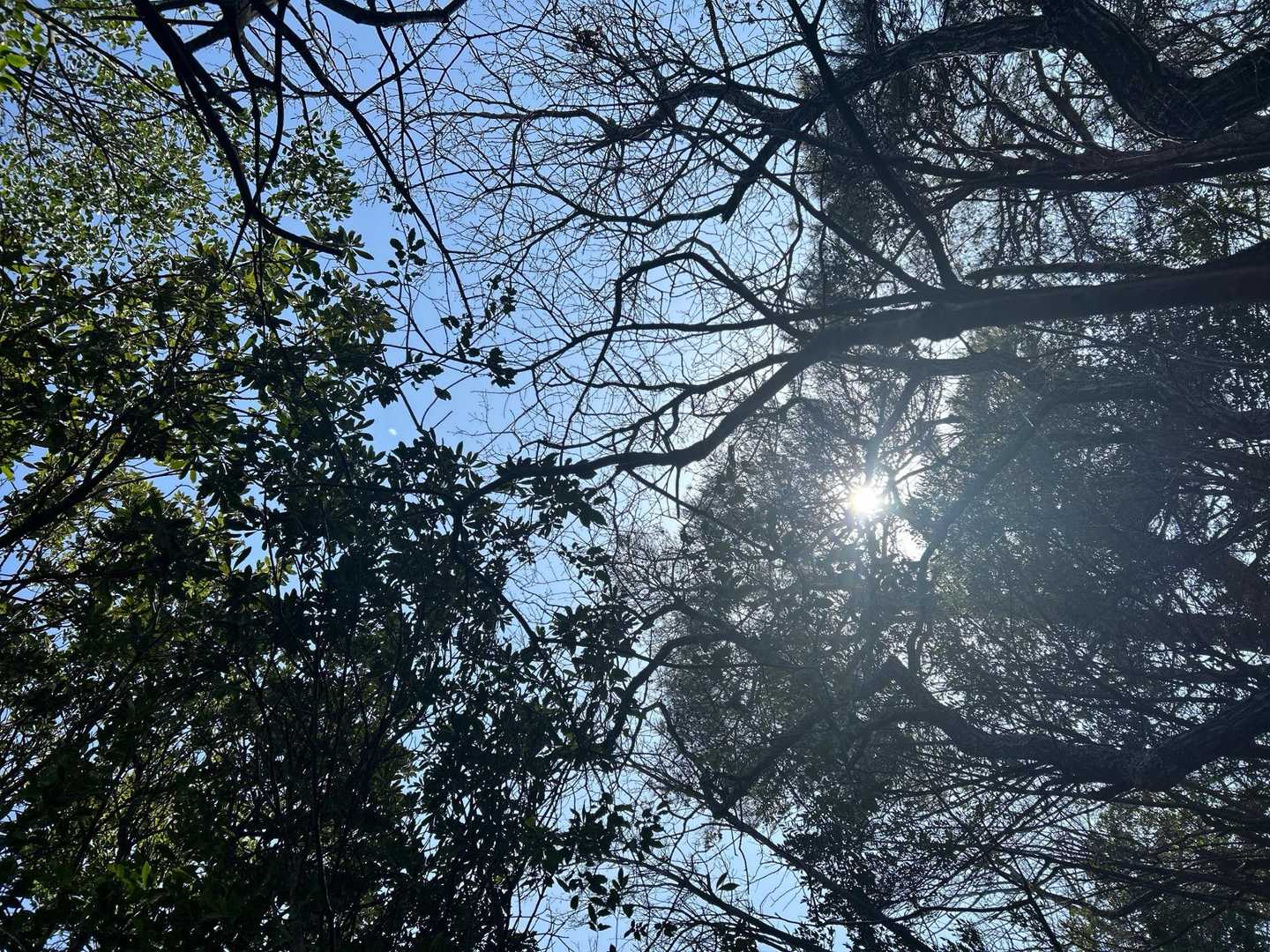 帰り途中、疲れて寝っ転がって見た風景