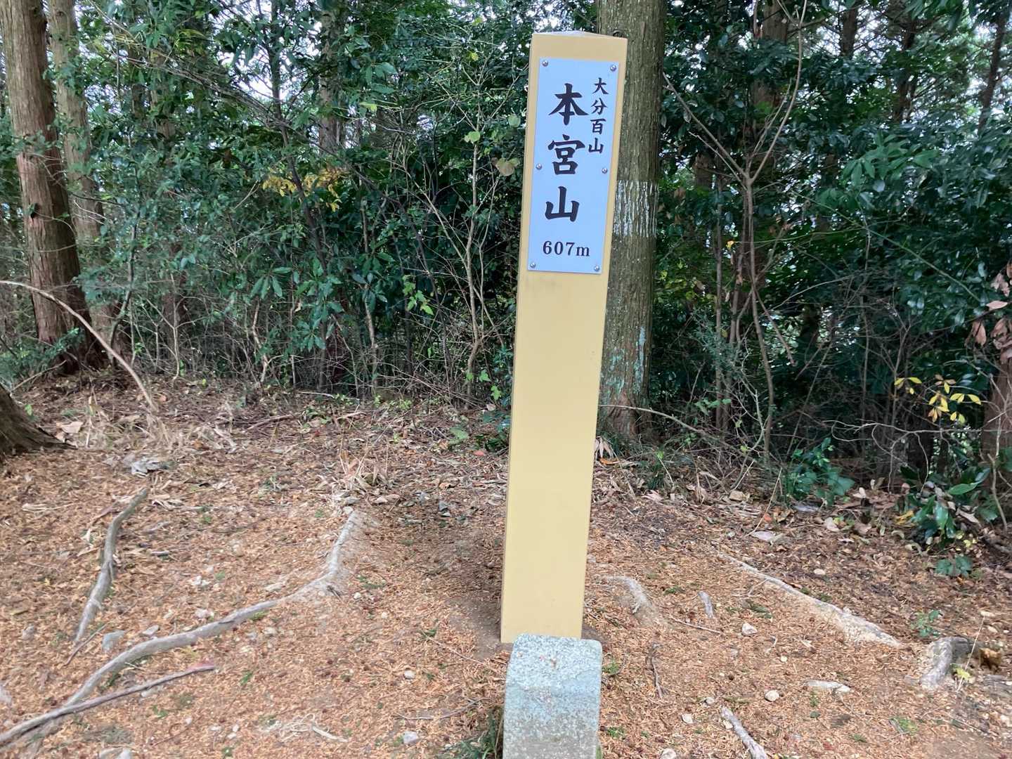 新しい！