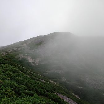 霧に包まれた上河内岳