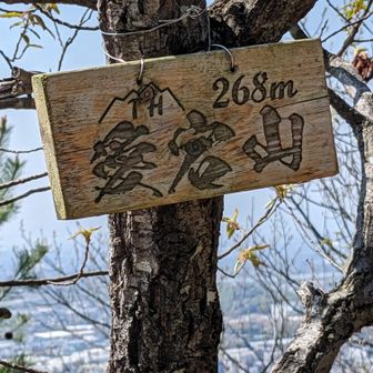 最後三座目は…愛宕山(268m)
トウチャコ❢