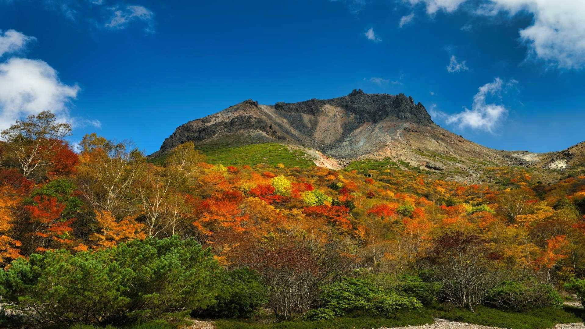 ロープウェイ山頂駅発着｜姥ヶ平散策コースの写真