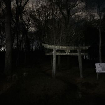 サクッと行くよ‼️