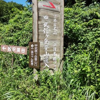 甲武信ヶ岳への入口。