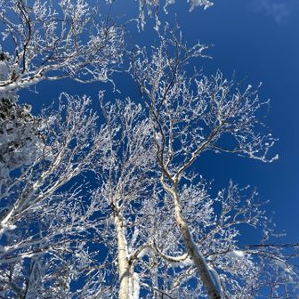 ✨❄️💙🤍❄️✨